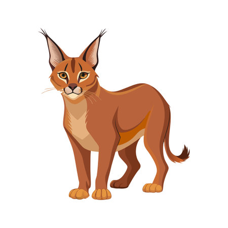 Dynamic Caracal in Mid-Leapのイラスト素材