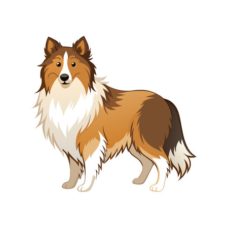 Stylized Shetland Sheepdog Vector Art for Creative Useのイラスト素材