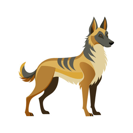 Creative Belgian Laekenois Vector Designのイラスト素材