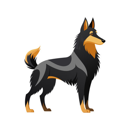 Creative Belgian Sheepdog Vector Artのイラスト素材
