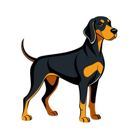Stylish Black and Tan Coonhound Vector Illustrationのイラスト素材