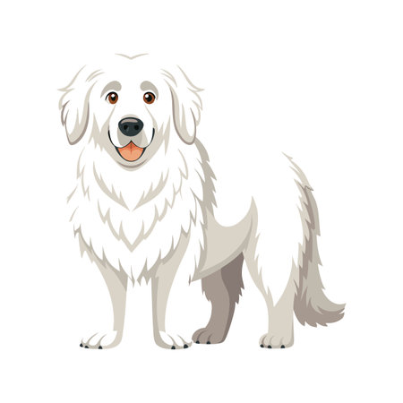 Charming Maremma Sheepdog Illustration for Artのイラスト素材