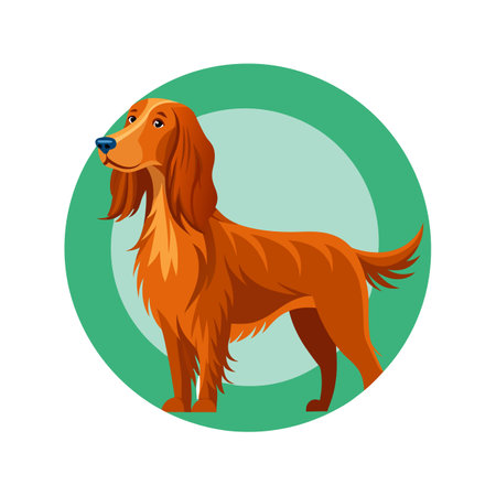 Dynamic Irish Setter in Actionのイラスト素材