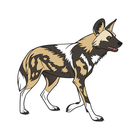 Charming African Wild Dog Designのイラスト素材