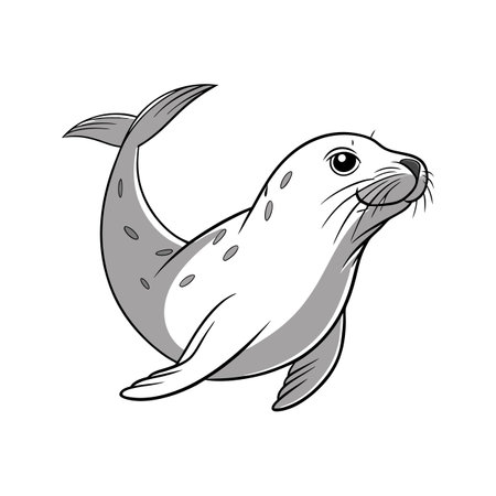 Adorable Atlantic Grey Seal Graphicのイラスト素材