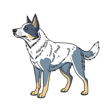 Stylish Australian Cattle Dog Illustrationのイラスト素材