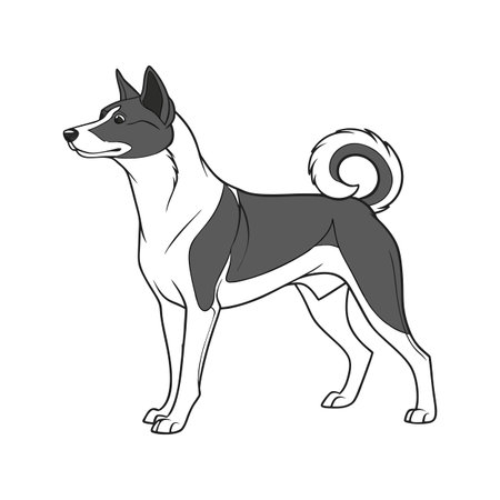 Adorable Basenji Dog Graphicのイラスト素材
