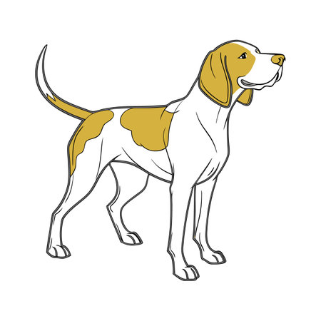 Adorable Bracco Italiano Graphicのイラスト素材