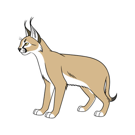 Adorable Caracal Graphicのイラスト素材