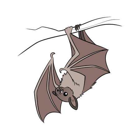 Stylish Common Pipistrelle Illustration