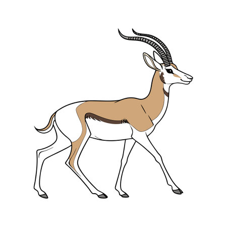 Charming Dama Gazelle Designのイラスト素材
