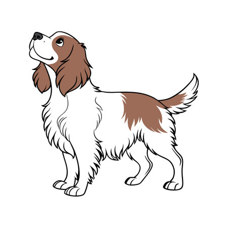 Adorable Cocker Spaniel Graphicのイラスト素材