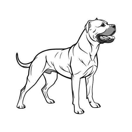 Impressive Dogo Canario on a Clean Backgroundのイラスト素材