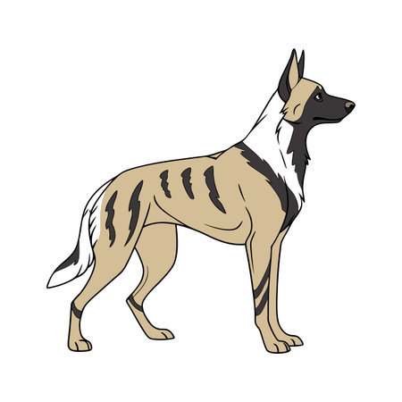 Charming Belgian Malinois Graphicのイラスト素材