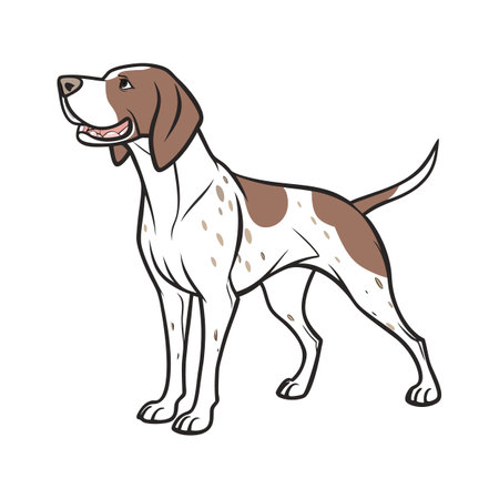 Stylish Bracco Italiano Illustrationのイラスト素材