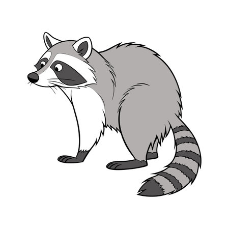 Adorable Common Raccoon Graphicのイラスト素材