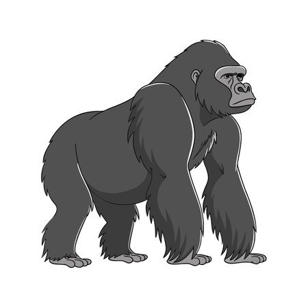Powerful Eastern Gorilla on White Surfaceのイラスト素材