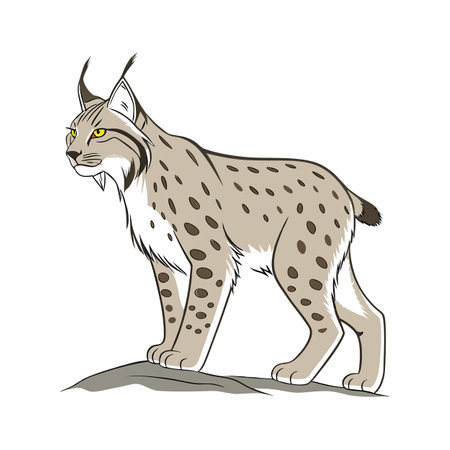 Majestic Eurasian Lynx Posed on Clean Canvasのイラスト素材