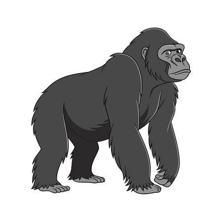 Majestic Eastern Gorilla on White Canvasのイラスト素材