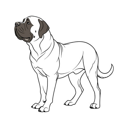 Imposing English Mastiff on a White Backgroundのイラスト素材