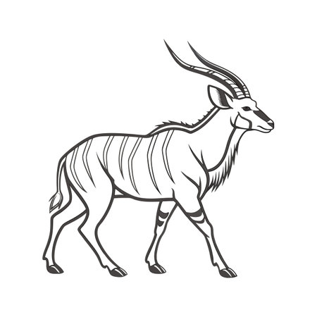 Regal Eland on a White Backgroundのイラスト素材