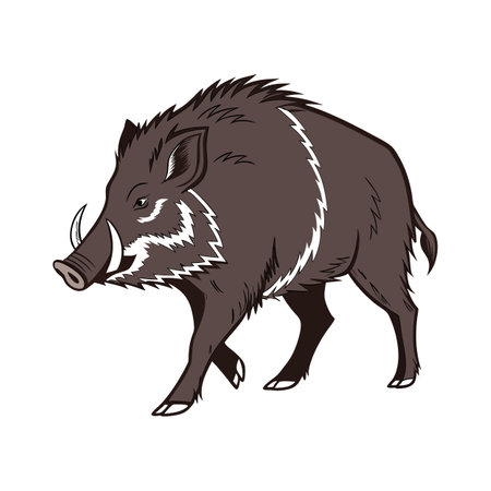 Majestic European Boar Against Clean Backgroundのイラスト素材