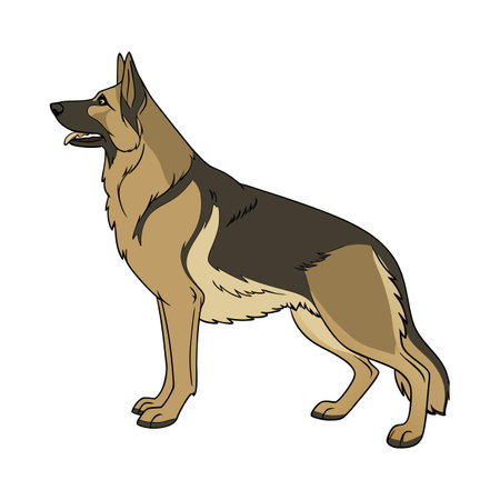 Elegant German Shepherd Sitting on White Backgroundのイラスト素材