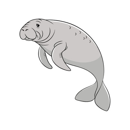 Manatee in Natural Habitatのイラスト素材