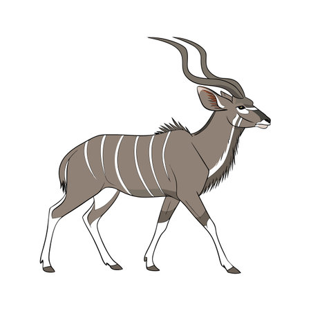 Stunning Greater Kudu Posed on Clean Backgroundのイラスト素材