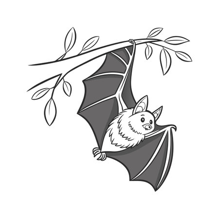 Lesser Horseshoe Bat in Flightのイラスト素材