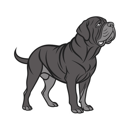 Neapolitan Mastiff Dog Illustrationのイラスト素材