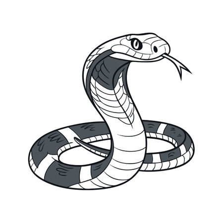 Charming Malayan Kraitのイラスト素材