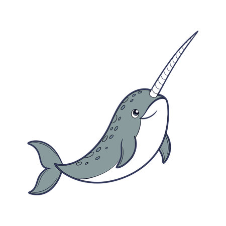 Narwhal on White Backgroundのイラスト素材