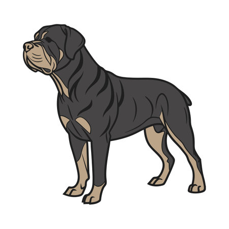 Neapolitan Mastiff Illustrationのイラスト素材