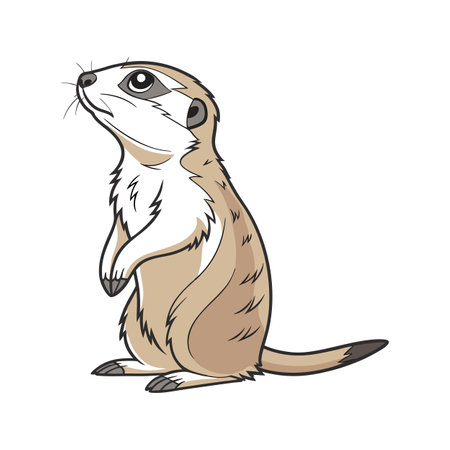 Prairie Dog on White Backgroundのイラスト素材
