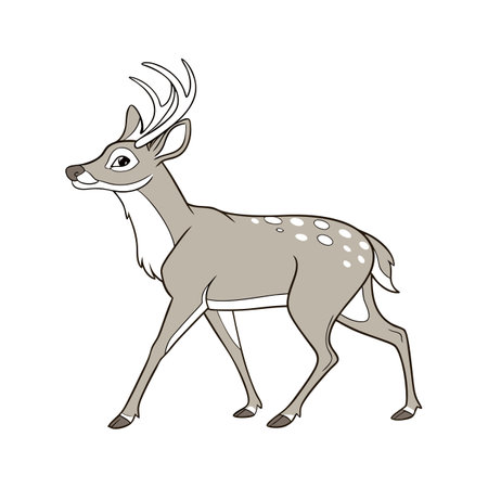Charming White-Tailed Deerのイラスト素材