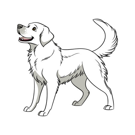 Dynamic Labrador Retriever on White Surfaceのイラスト素材