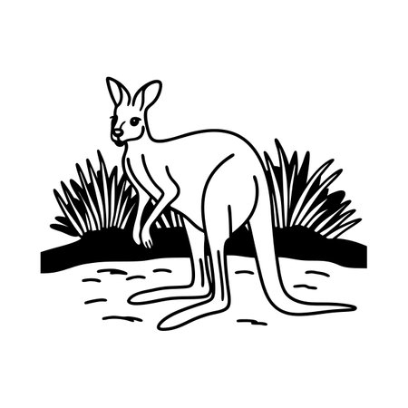 Stunning Red Kangaroo Grazingのイラスト素材