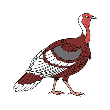 Charming Bourbon Red Turkey Colorful Illustrationのイラスト素材