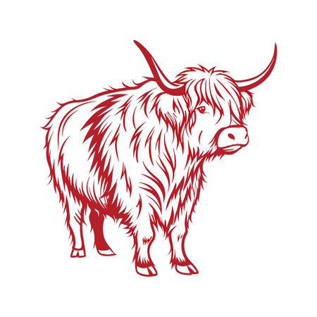 Charming Highland Cow Realistic Color Illustrationのイラスト素材