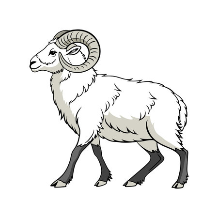 Distinctive Norfolk Horn Sheep Realistic Color Illustrationのイラスト素材