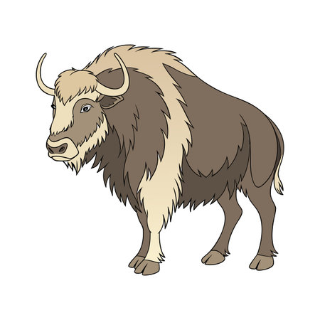 Dynamic Ox Realistic Color Illustration on White Backgroundのイラスト素材