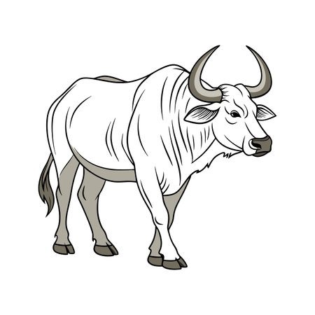 Beautiful Ox Realistic Color Illustration with Outlineのイラスト素材