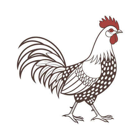 Engaging Polish Chicken Realistic Color Illustrationのイラスト素材