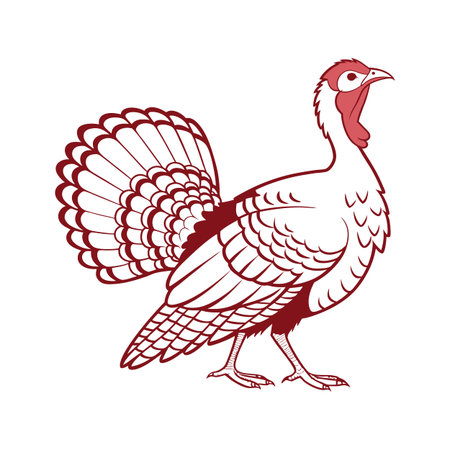 Unique Turkey Hen Realistic Color Designのイラスト素材