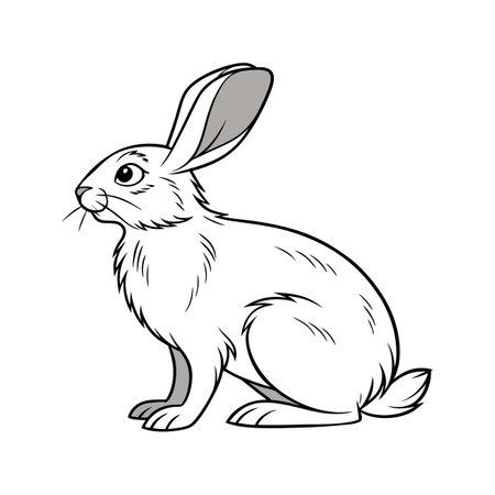 Charming Rex Rabbit Realistic Color Illustrationのイラスト素材