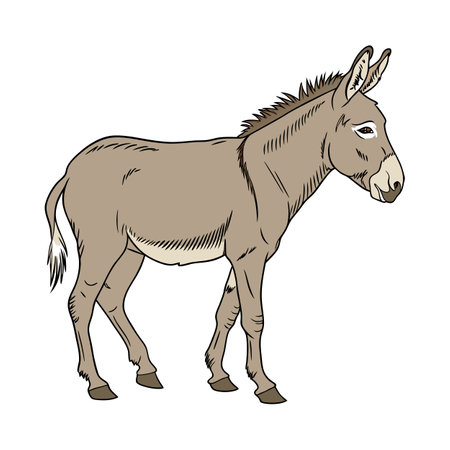 Vivid Mule Realistic Color Illustration on Clean Backgroundのイラスト素材