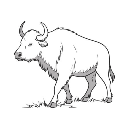 Charming Ox Realistic Color Illustration on Clean Backgroundのイラスト素材