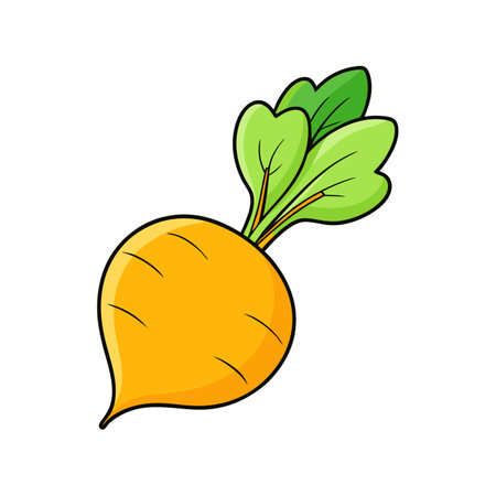 Vibrant Golden Beetroot Isolatedのイラスト素材