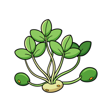 Sprout icon. Cartoon illustration of sprout vector icon for webのイラスト素材
